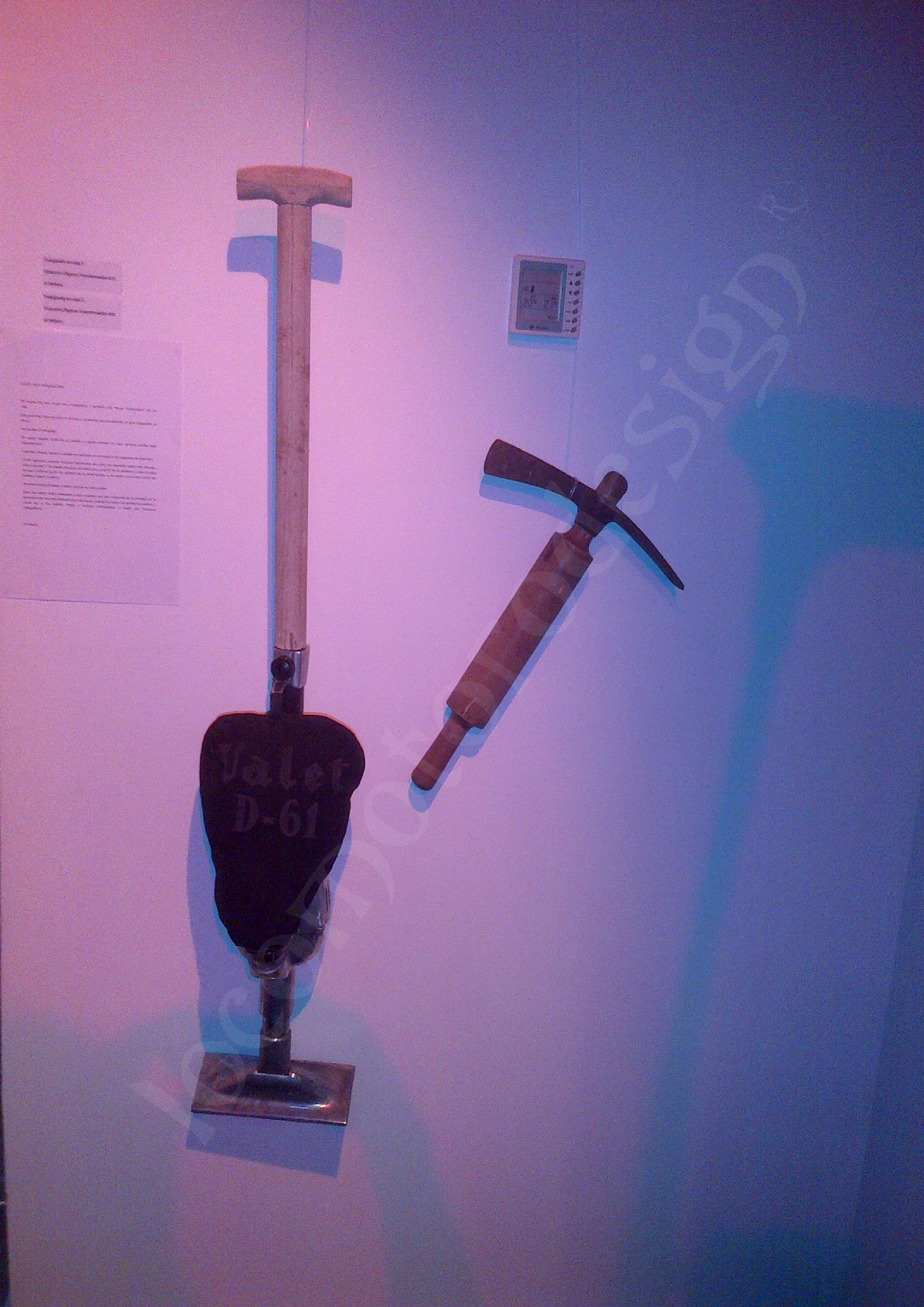 Locomotorodesign (R)