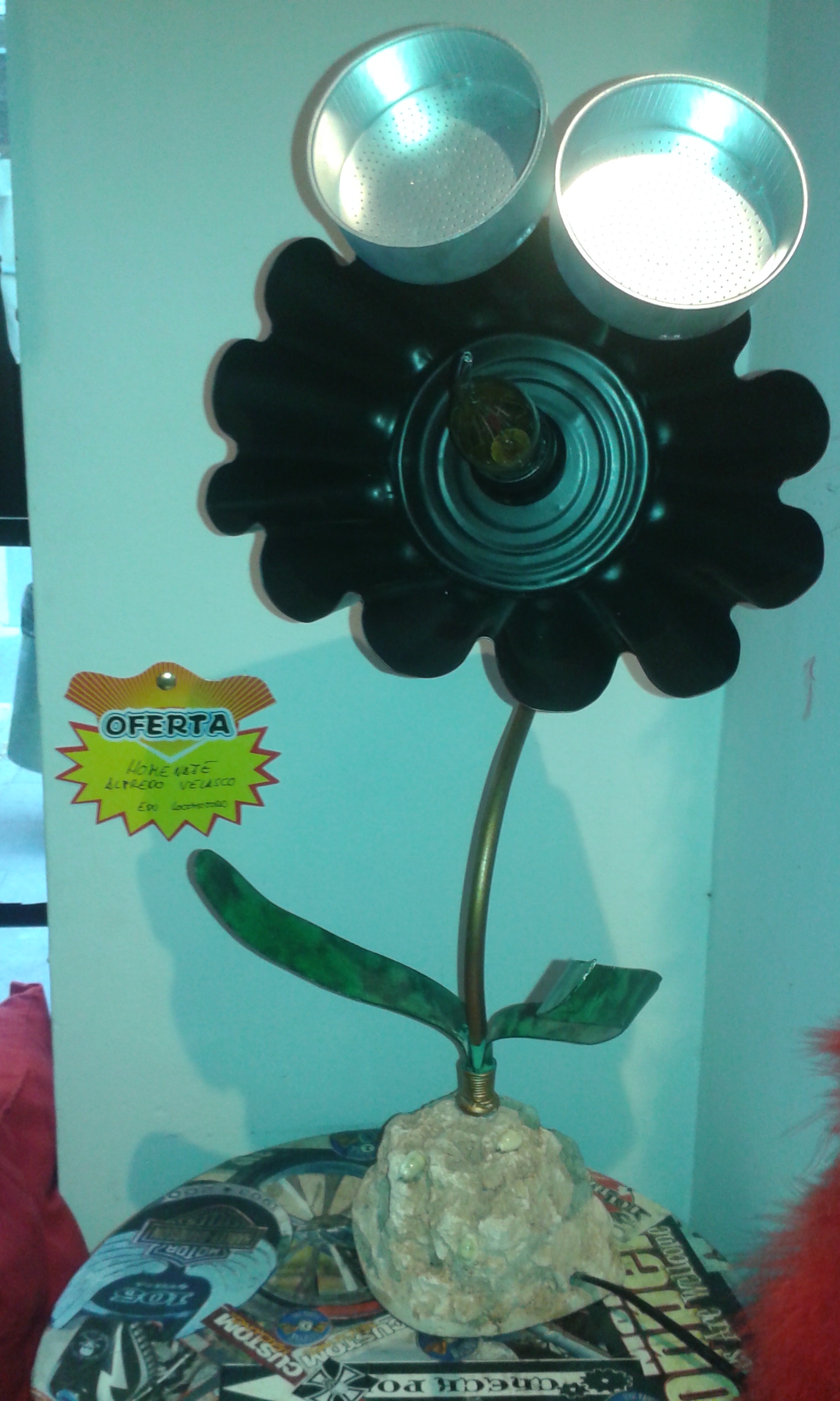 EduLocomotoro (Copyright)